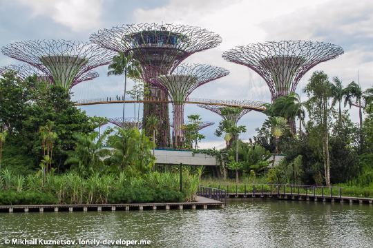 Сад Gardens by the Bay. Сингапур